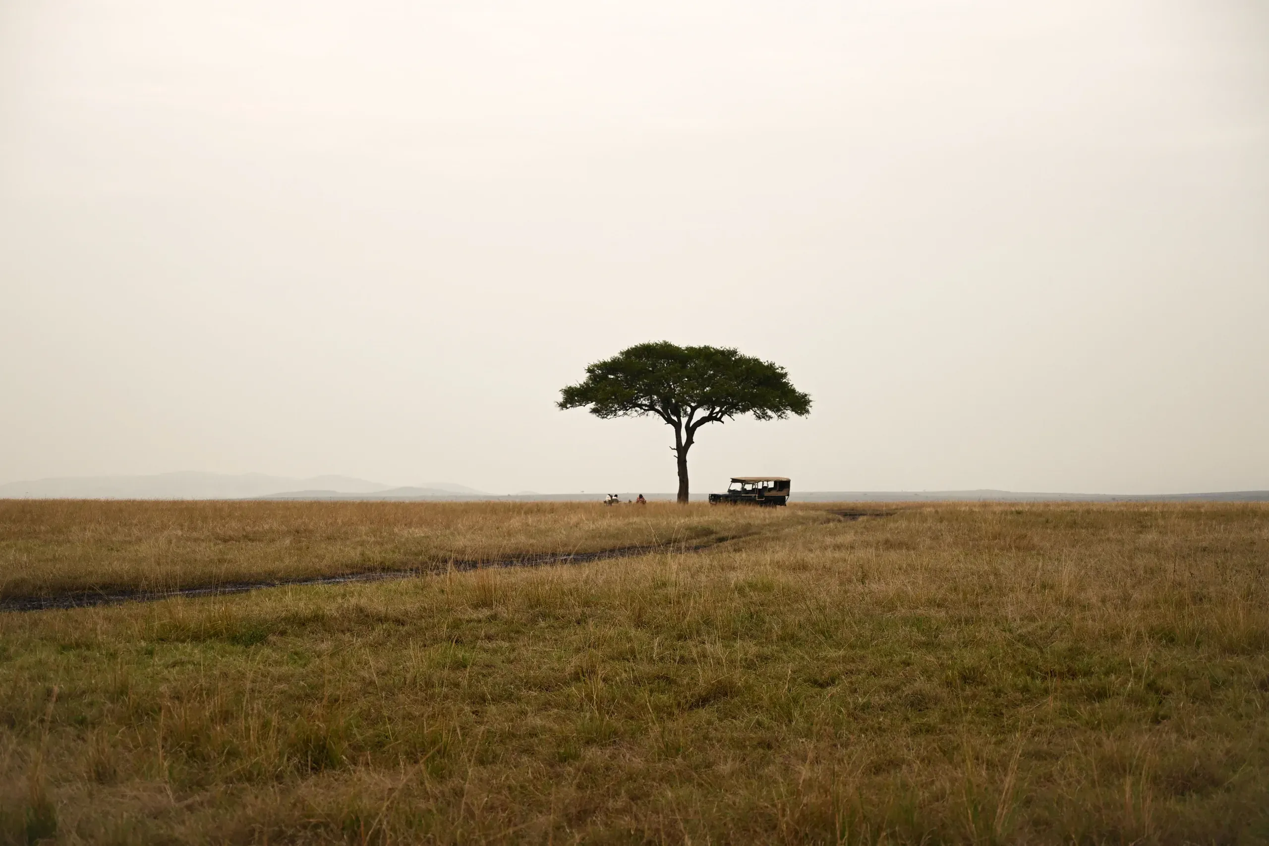 Landscape, 4 of 8