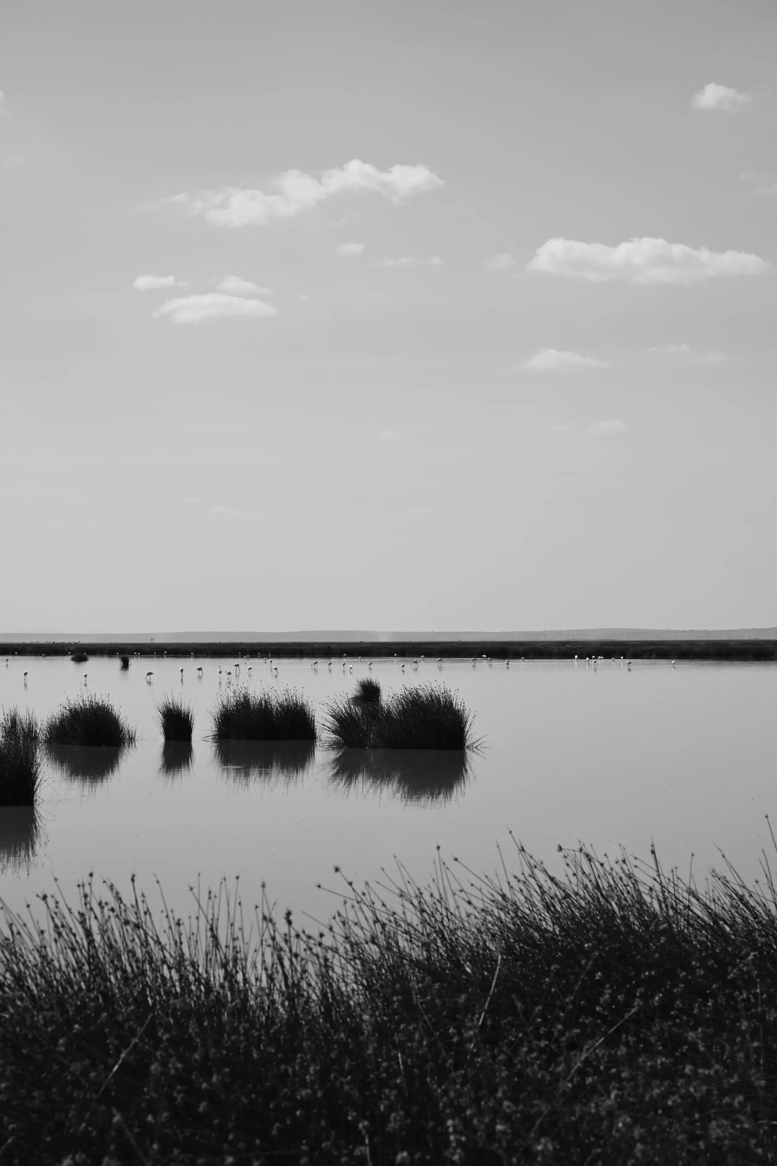 Landscape, 5 of 10