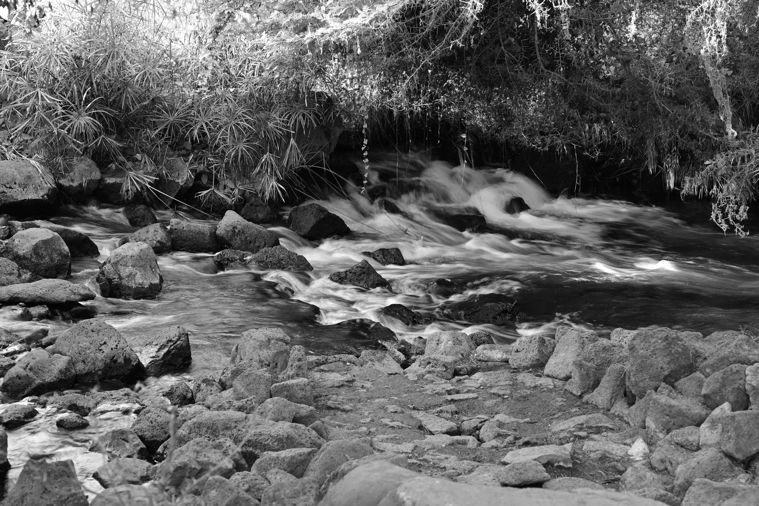 Landscape, 2 of 10