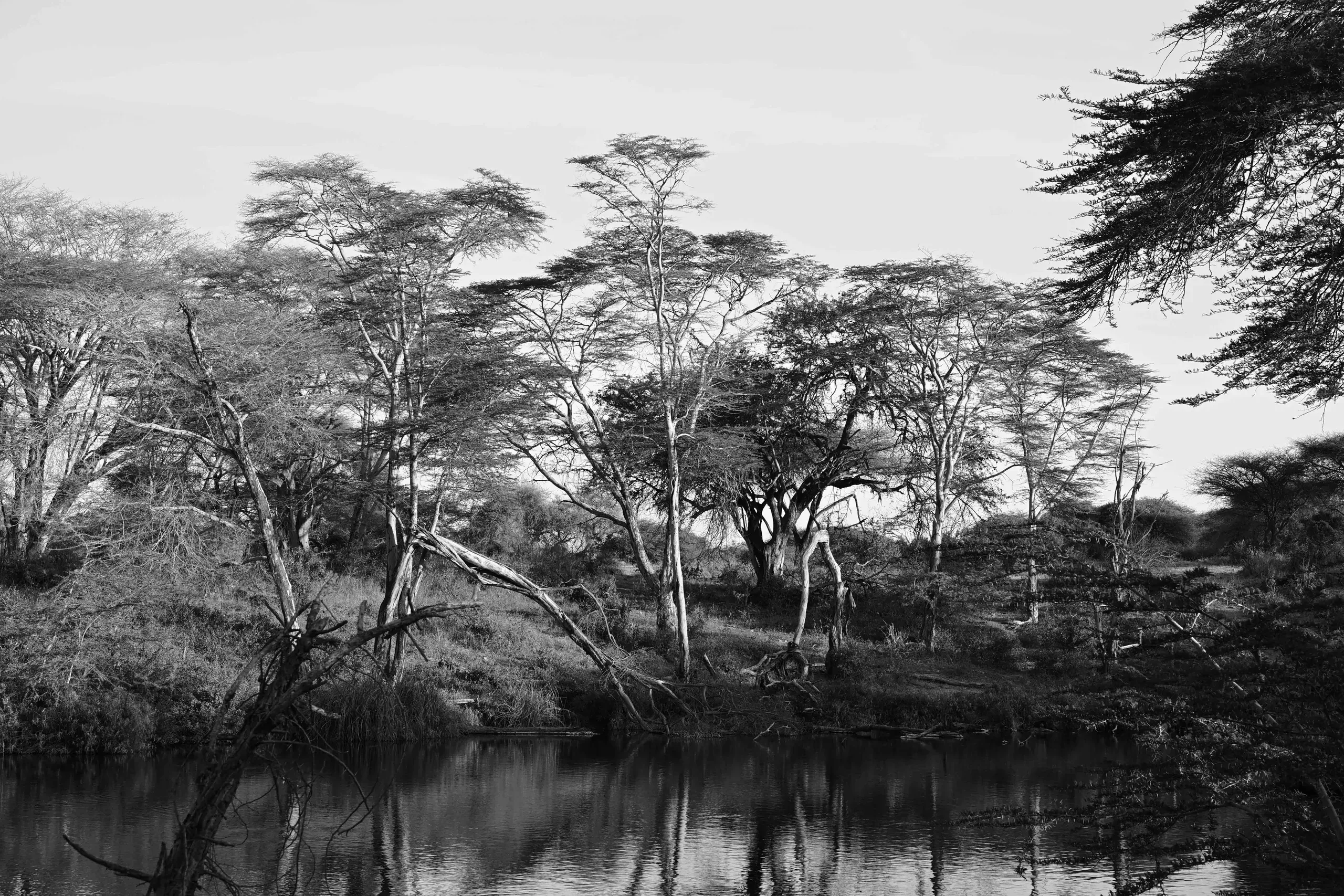 Landscape, 1 of 10