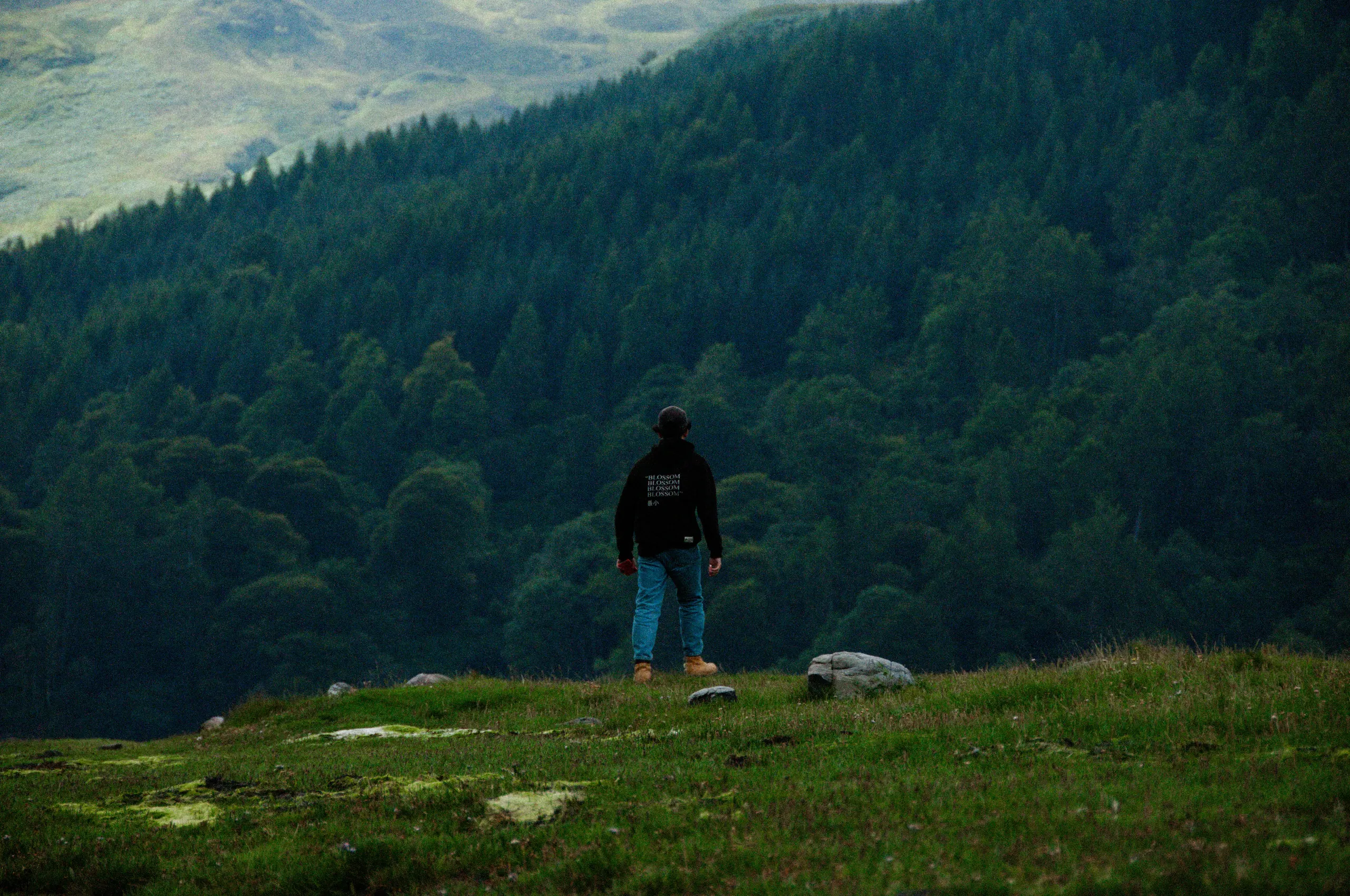 Landscape, 10 of 10